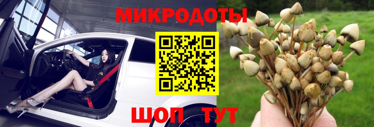 Курчатов  Псилоцибиновые грибы ЛСД  Вход с VPN 